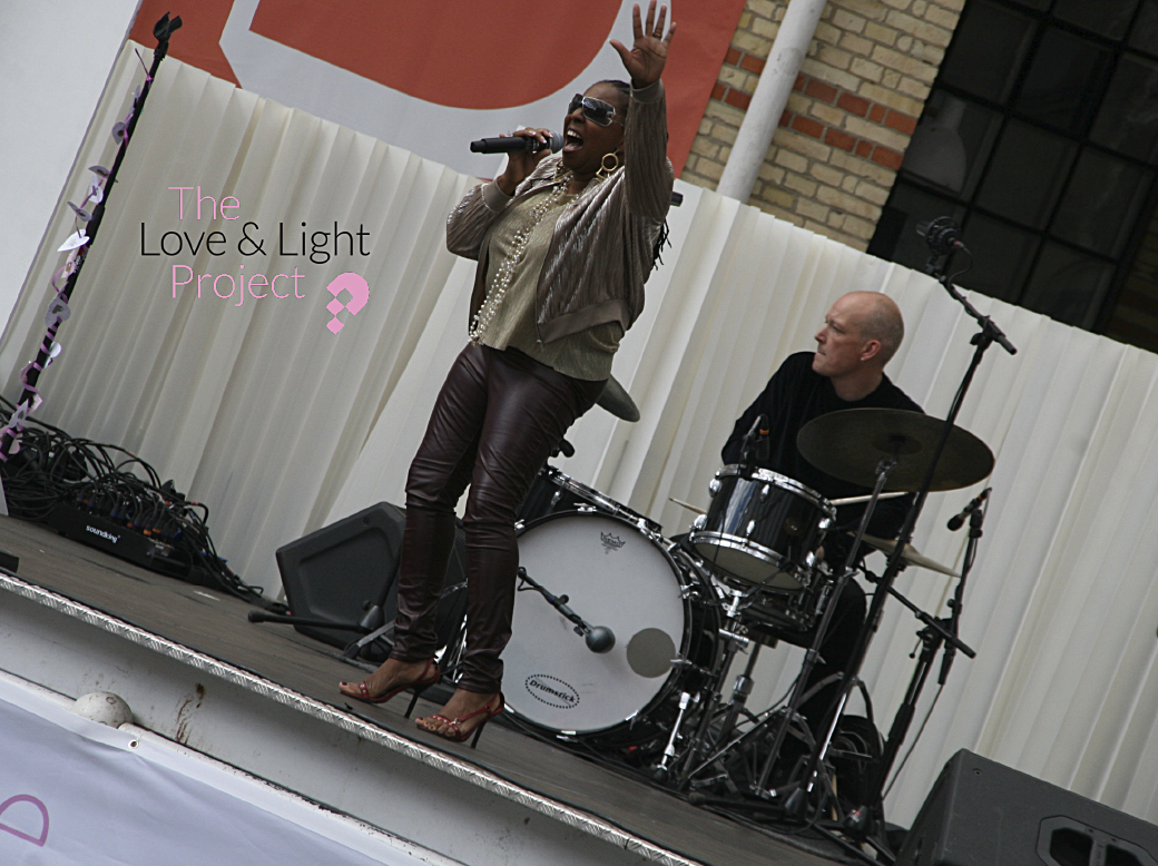 Indsamling af midler i 2016